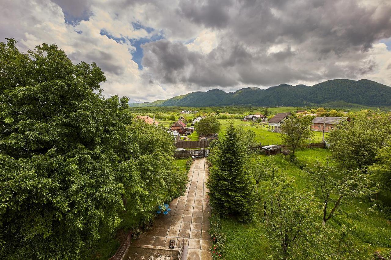 Carmi House Otel Tohanu Nou Dış mekan fotoğraf